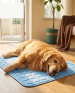 Dog cooling down on The Cooling Mat