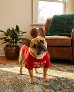 Dog wearing The Everyday Tee round-neck shirt