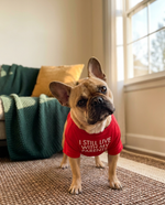 Dog modeling The Everyday Tee
