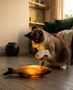 Cat engaged with The Swing Fish at dusk