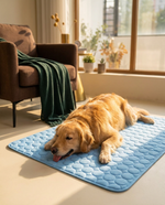 The Cooling Mat in Round Blue