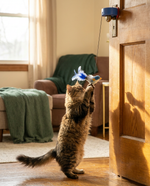 Cat playing with The Rotation Toy in blue-pendant bird design